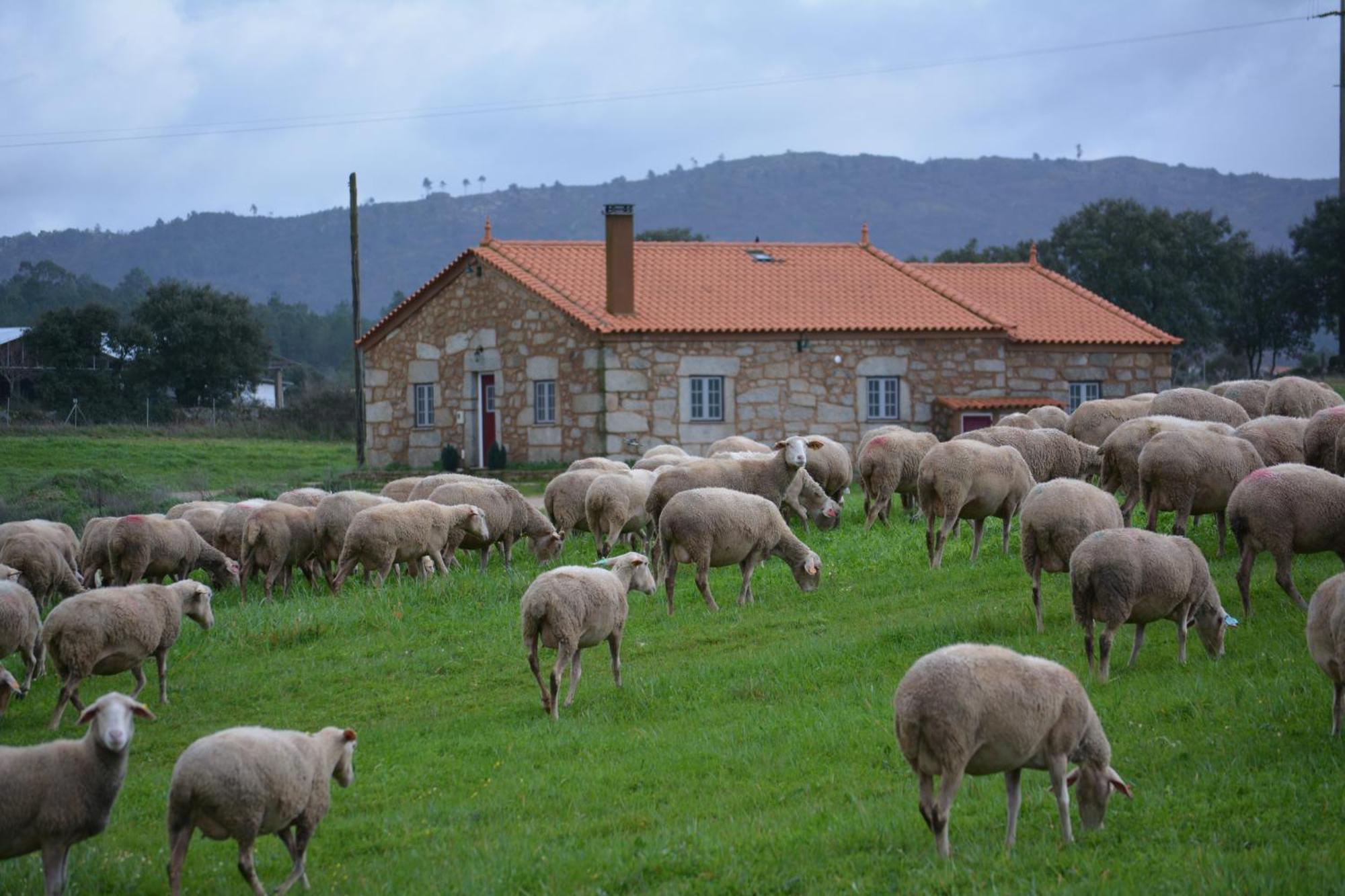 Turismo Rural 4Quintas Minhocal Exteriér fotografie